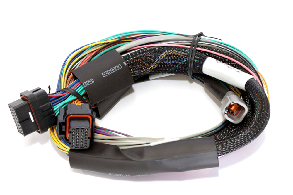 Haltech Elite 1500 Basic Universal Wire-in Harness Length: 2.5m (8')