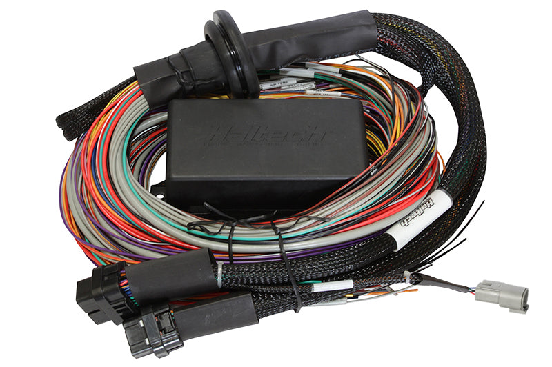 Haltech Elite 1500 Premium Universal Wire-in Harness Length: 2.5m (8')