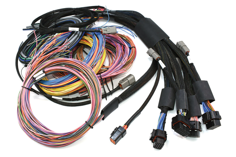 Haltech Nexus R5 + Universal Wire-in Harness Kit
